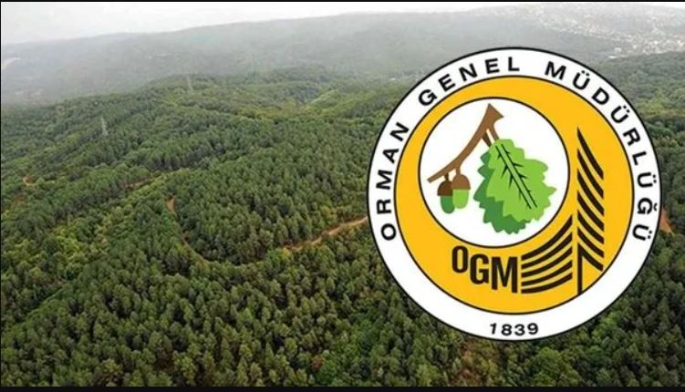 ORMAN GENEL MÜDÜRLÜĞÜ 69 İşçi Alacak